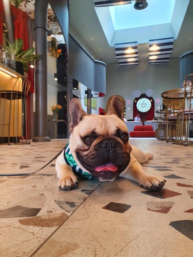 Hotel Grand Koper Bagian luar foto